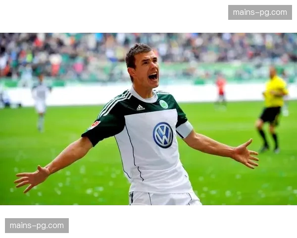 哲科39岁预选赛打入四球 波黑前锋国家队效率依旧可观